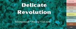 DELICATE REVOLUTION