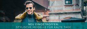 H/W- Herrenschuhe (Banner)