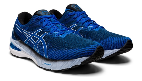 asics GT 2000-10 Men