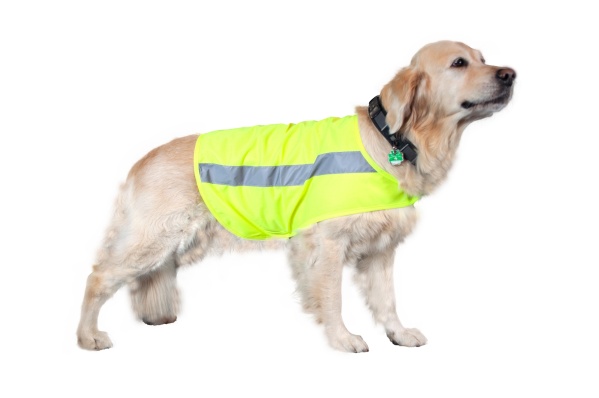 &nbsp;OSB - Hunde Signal-Weste 