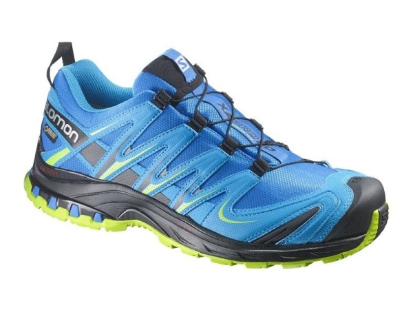 Salomon XA PRO 3D GTX
