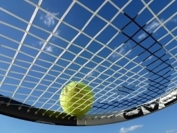 Dunlop VDT Trainer 4-er Dose Tennisball online kaufen, 7,75 €