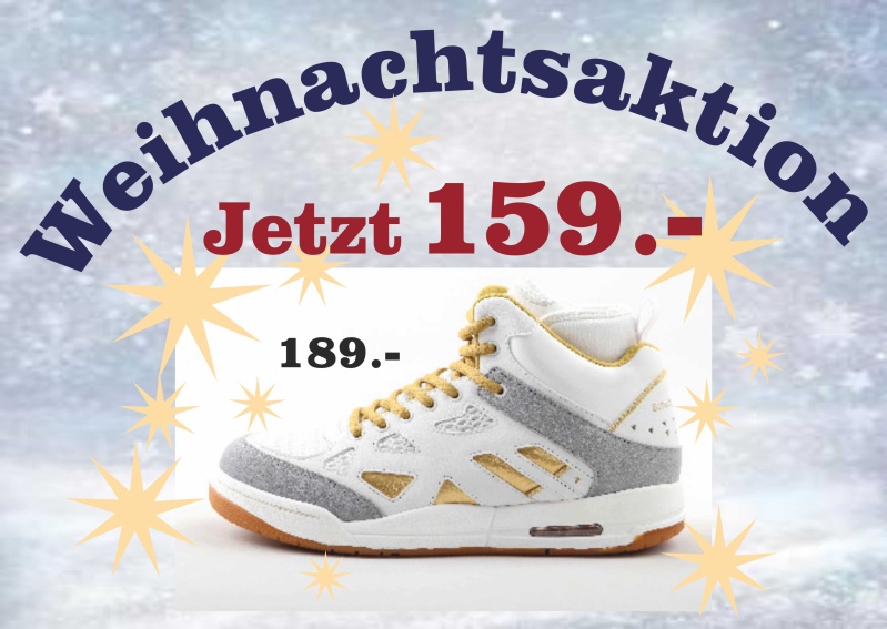 Aktion Schwingerschuh