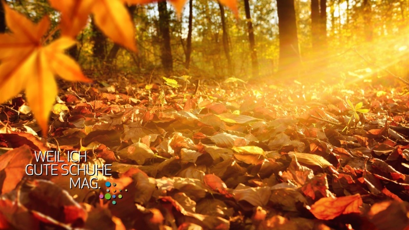 Herbst (Banner, 16:9)