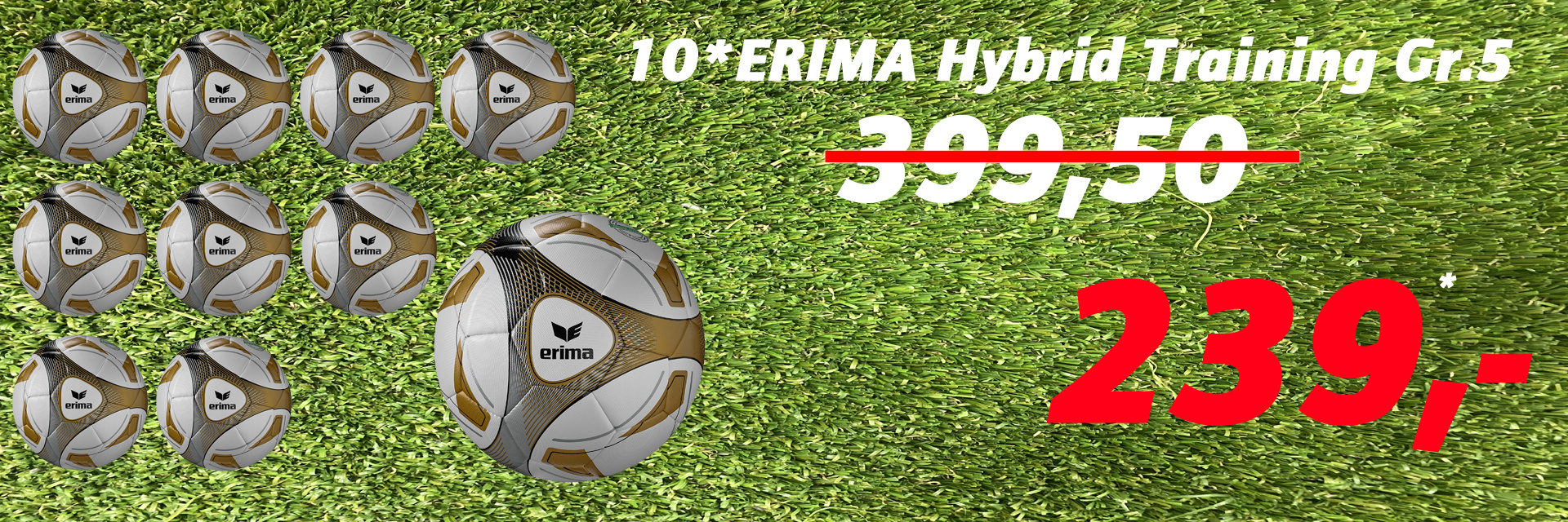 Ballangebot ERIMA Hybrid Training 10 years