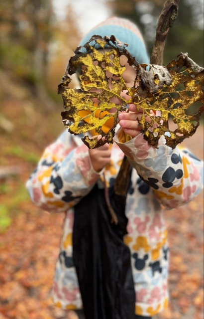 Herbst