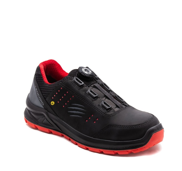 Leopard&nbsp;AE01431