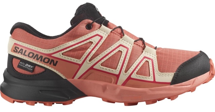 Salomon&nbsp;L47733600