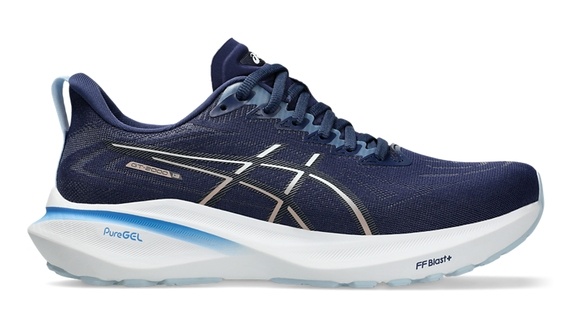 asics 1012B666-403