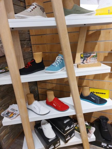 Die neuen Leguanos sind da! 