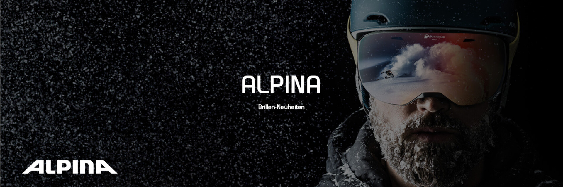 Alpina Ski-Brillen