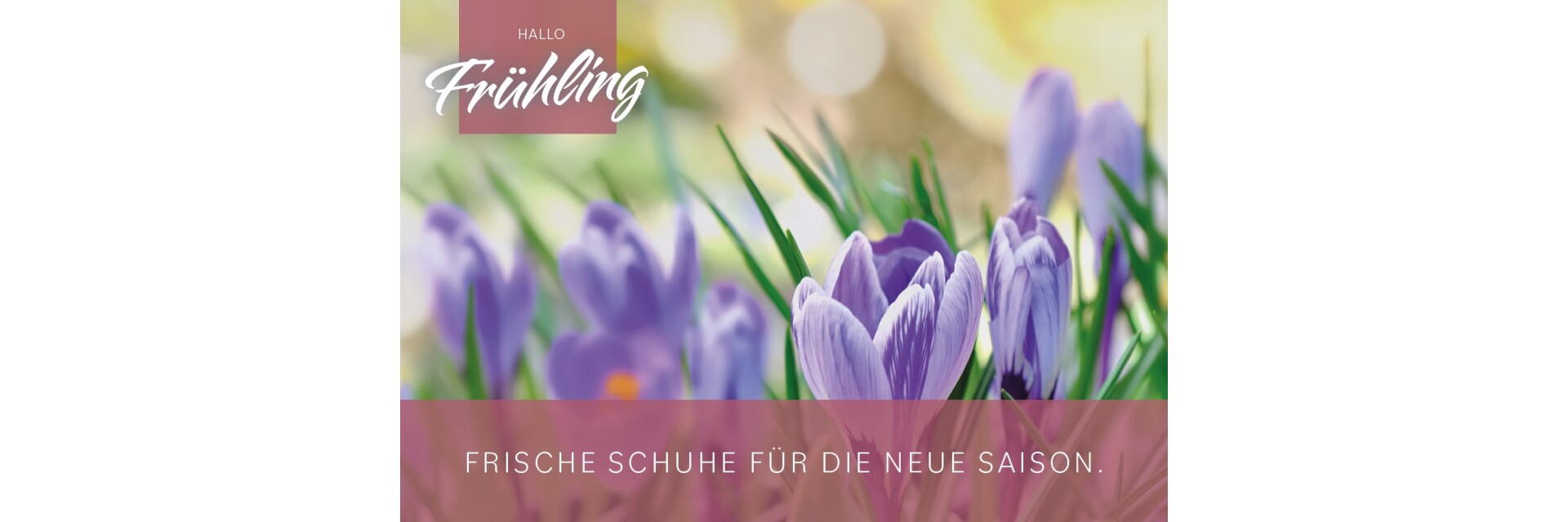 Saison/Frühling - Hallo Frühling