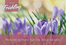 Saison/Frühling - Hallo Frühling