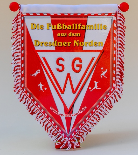   SGW Fan-Wimpel