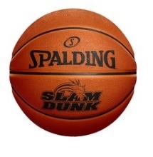  Basketball Spalding Slam Dunk