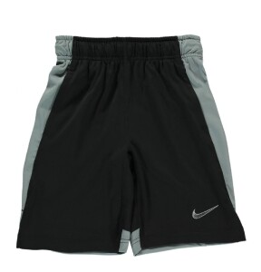 Nike Dry Short